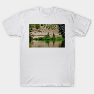 Lake Irene 2018 Study 8 T-Shirt